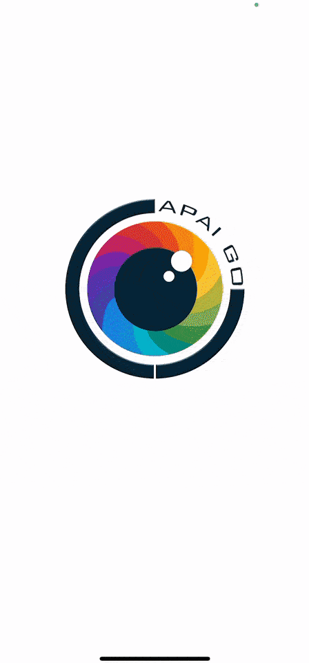 app-demo1.gif 滤镜演示